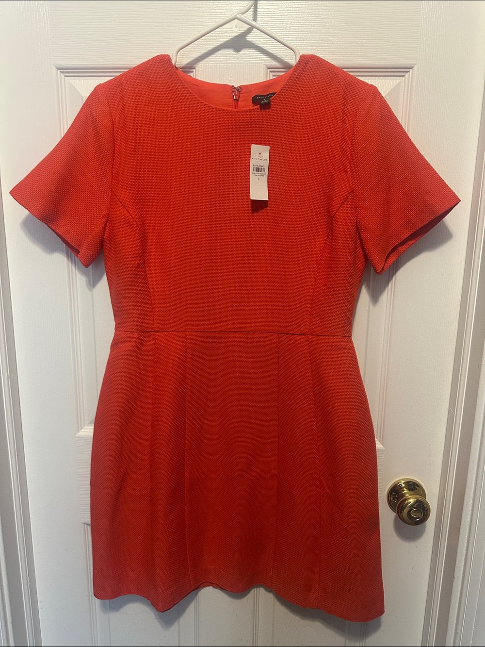 Ann Taylor Bright Coral Short Sleeve Fit-and-Flare Mini Dress